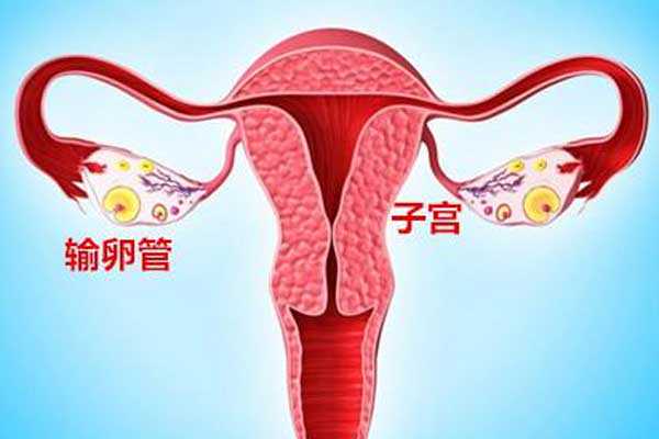 2018去香港验血查男女要多少钱,宫腔积液如何影响辅助生殖技术中助孕过程？